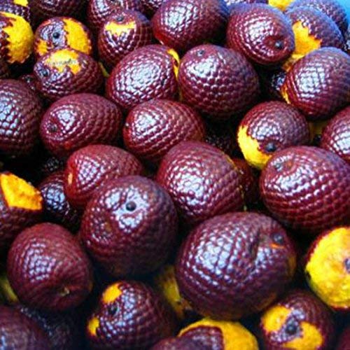 Sweet Essentials 100% Organic Buriti (Aguaje) Fruit Oil | Imported From Brazil | 2oz Glass Bottle With Glass Dropper | 100% Pure | Cold-Pressed | Natural Moisturizer for Skin, Hair and Face