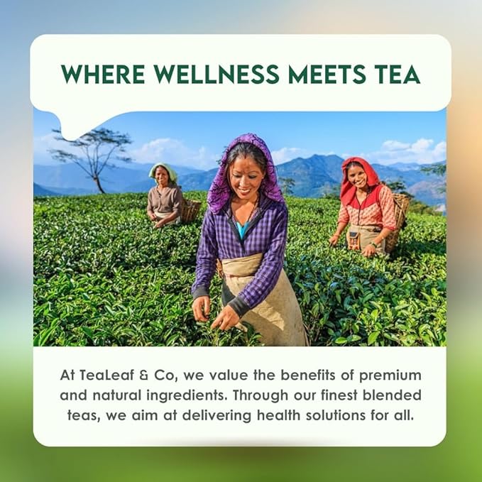 Tulsi Ashwagandha Green Tea Bags (50 Count), Green Tea with Tulsi, Ashwagandha, Lemongrass and Black Pepper, Caffeinated, Real and Natural Green Tea, Blended with Fresh Herbs and Spices, Gluten Free