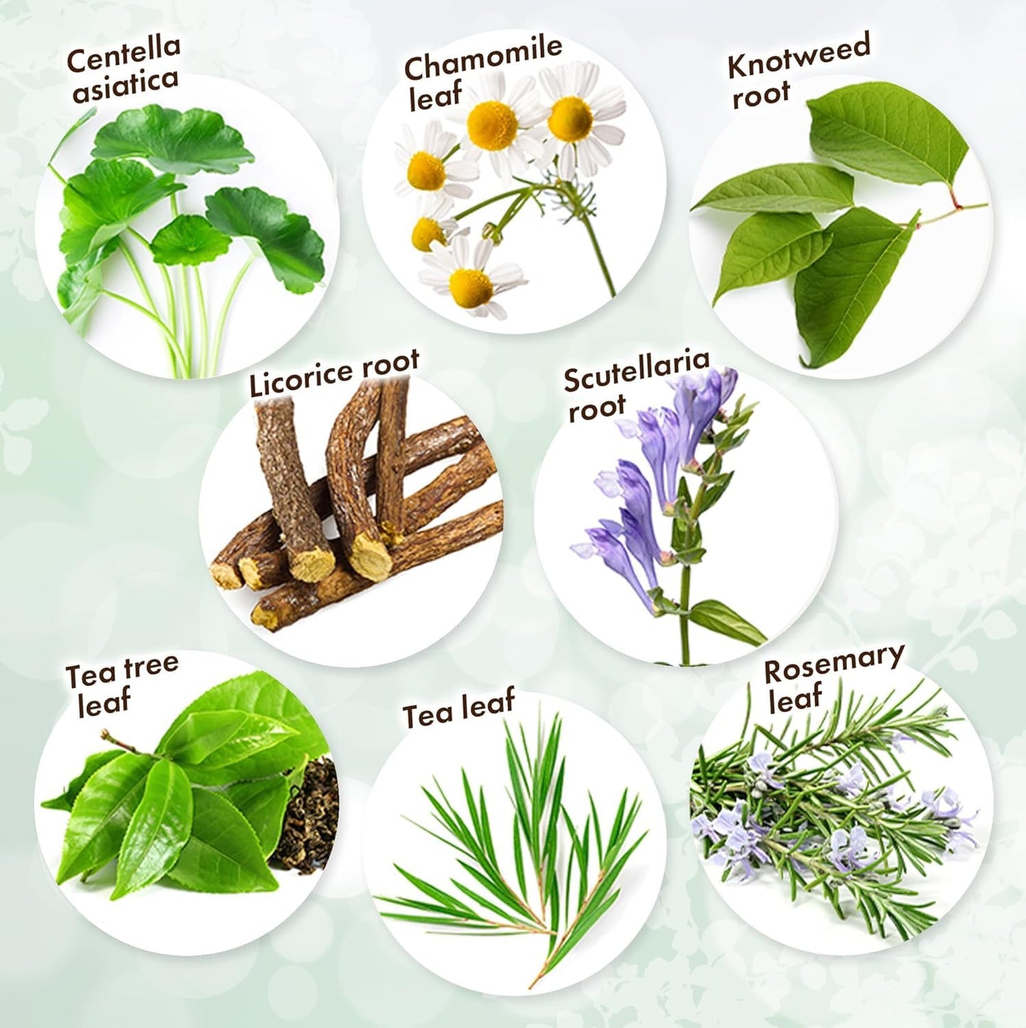 KisoCare Azelaic Acid for Face 15% Serum Niacinamide Vitamin C BALANCING ESSENCE AZ 1 Fl Oz MADE IN JAPAN