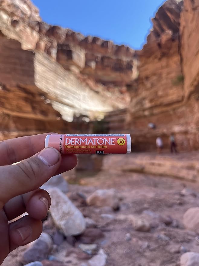Dermatone Pomegranate Lip Balm | Moisturizing | Aloe and Vitamin E | Soothe & Replenish Dry & Chapped Lips | SPF 30 | 3-pack (Pomegranate, 0.15oz sticks)
