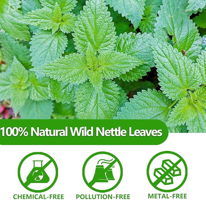 Premium 100 Stinging Nettle Leaf Tea Bags, Made with 100% Wild Nettle Leaves,No Additive & Caffeine Free.