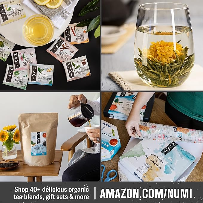 Numi Organic Kukicha Green Tea, 16 Tea Bags (Pack of 3), Roasted Japanese Twig Tea, Caffeinated