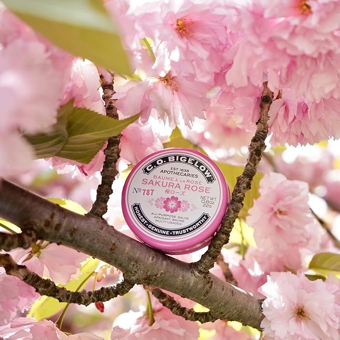 C.O. Bigelow All Purpose Lip Balm Tins, Sakura Rose - Pack of 3 for Chapped Lips & Dry Skin - Moisturizing Lip, Cuticle and Skin Salves, 0.8 oz each
