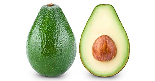 Avocado Oil - Pure, Unrefined, Partially Filtered, Non-GMO, Vegan, Bulk Carrier - 16 oz - for Skin, Hair, Nails, Body, Face, DIY, Deep Hydration, Nourishing, Moisturizing - Packaging May Vary
