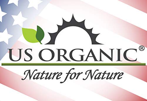 US Organic Rosehip Seed Oil, USDA Certified Organic, Cold Pressed, Virgin Organic, Amber Glass Bottle and Glass Eyedropper for Easy Application - 2 oz (56 ml)