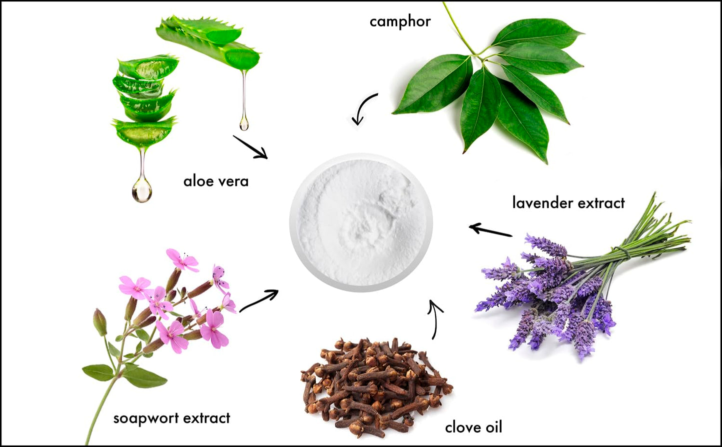 Raya Camphor Soufflé Facial Cleanser 8 oz (101) | pH Balanced Face Wash for Oily, Blemished, and Break-Out Skin | Helps Reduce White-Heads and Black-Heads and Clear Clogged Pores