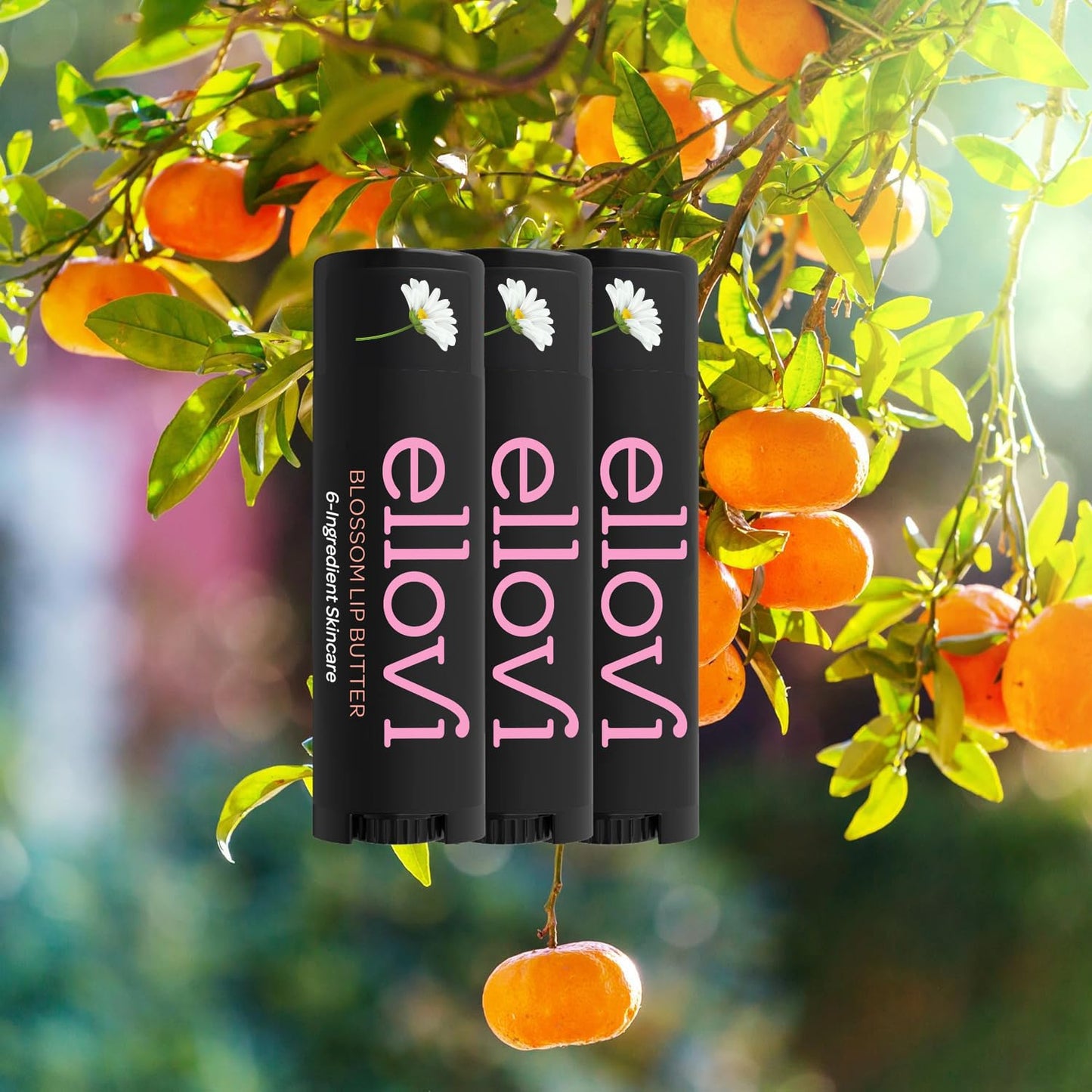 Ellovi Natural Lip Butter Lip Balm - Blossom - Pure Enough to Eat - Made With Just 6 Vegan Ingredients - Moisturizing Lip Care for All Day Hydration (3-Pack)