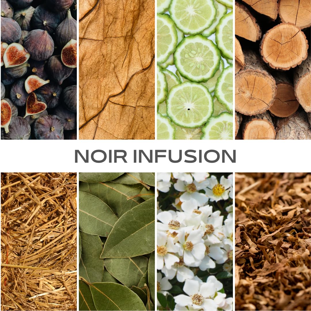 Inspired by L.e L.a.b's Thé N.oi.r 29, Noir Infusion EDP, Long Lasting 12-14 Hours Perfume Spray for Men, Women, unisex, All Skin Types - Cruelty Free - 1.7 fl oz 50ml