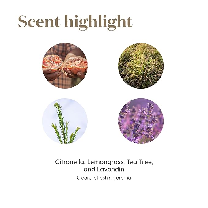 Young Living Purification Essential Oil Blend - 5ml | Pure and Refreshing Aroma | Cleansing Properties | Aromatic Diffuser | Vegan & Gluten-Free | Skincare-Friendly