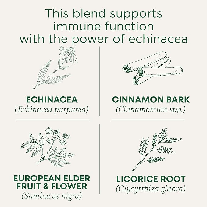 Traditional Medicinals Tea, Organic Immune Zoom Elderberry Echinacea, Supports Immune Function, 16 Tea Bags