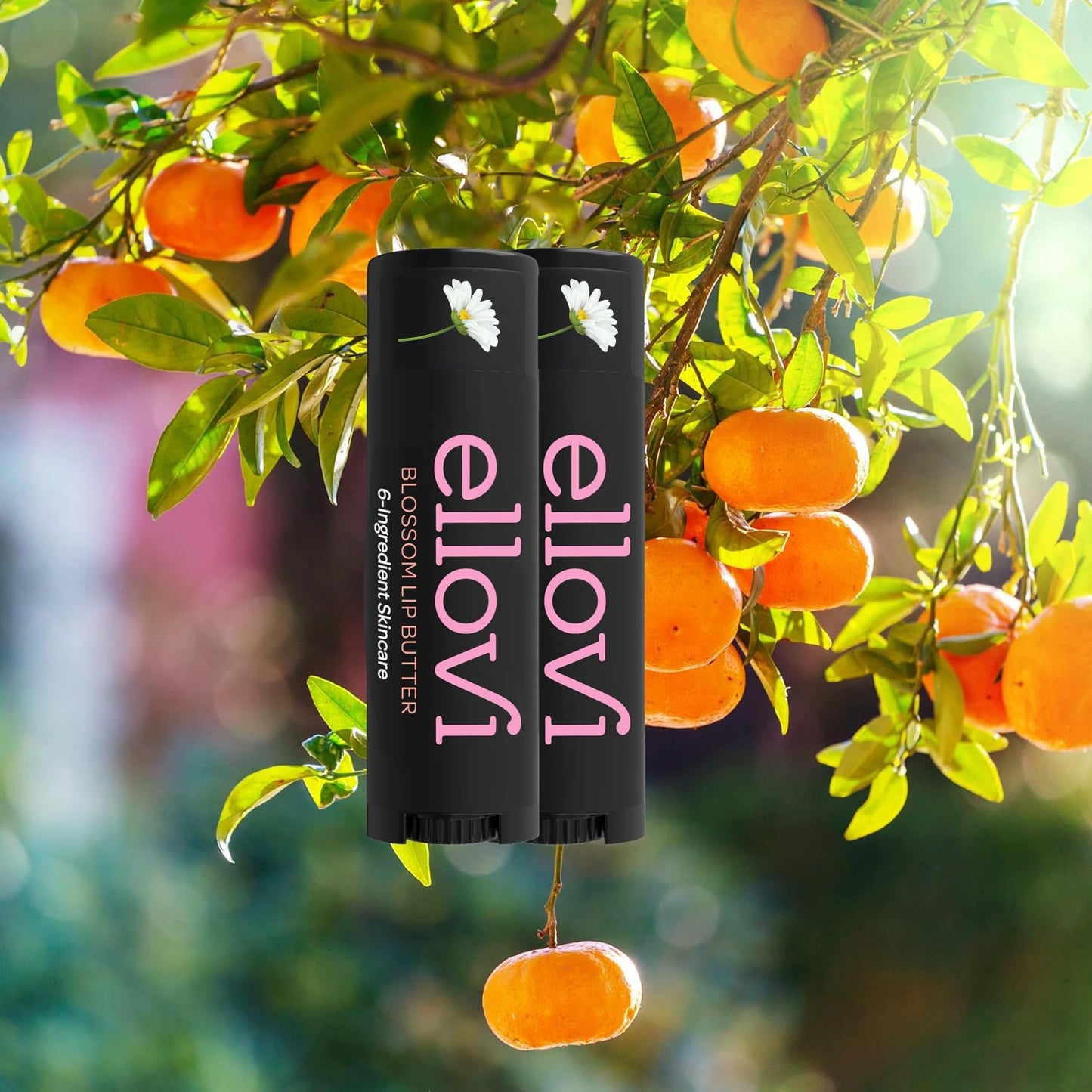 Ellovi Natural Lip Butter Lip Balm - Blossom - Pure Enough to Eat - Made With Just 6 Vegan Ingredients - 100% Natural & Organic Moisturizing Lip Care for All Day Hydration (2-Pack)