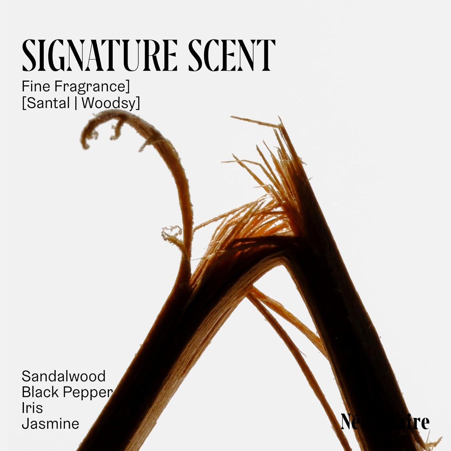 Nécessaire The Body Lotion with Pump – Santal Scented Body Moisturizer with Peptides, Niacinamide, Vitamins C/E & Omega 6/9 – Firming Daily Hydration – Dermatologist-Tested, Vegan – 15.2 oz