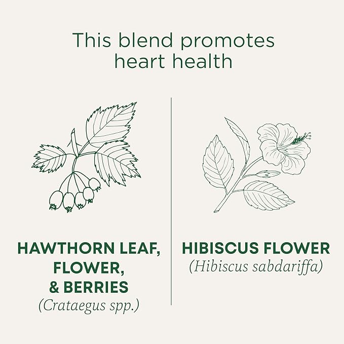 Traditional Medicinals Tea, Organic Hawthorn & Hibiscus, Promotes Heart Health, 96 Tea Bags (6 Pack)