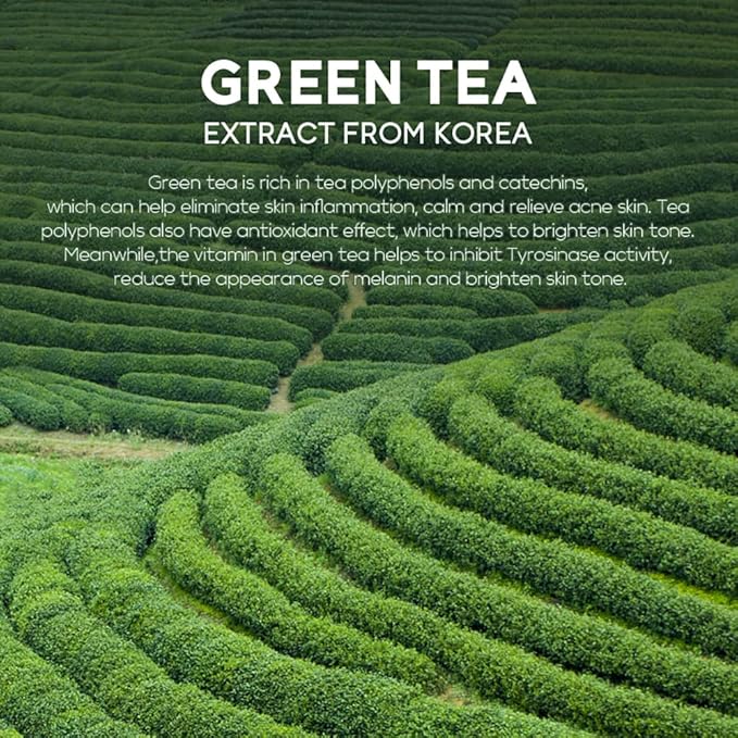 AKARY Green Tea Eye Care Cream Eliminate Eye Bag Dark Circles Tea Leaf Extract Eye Cream for Nourishing Eye Areas & Tightening the Skin