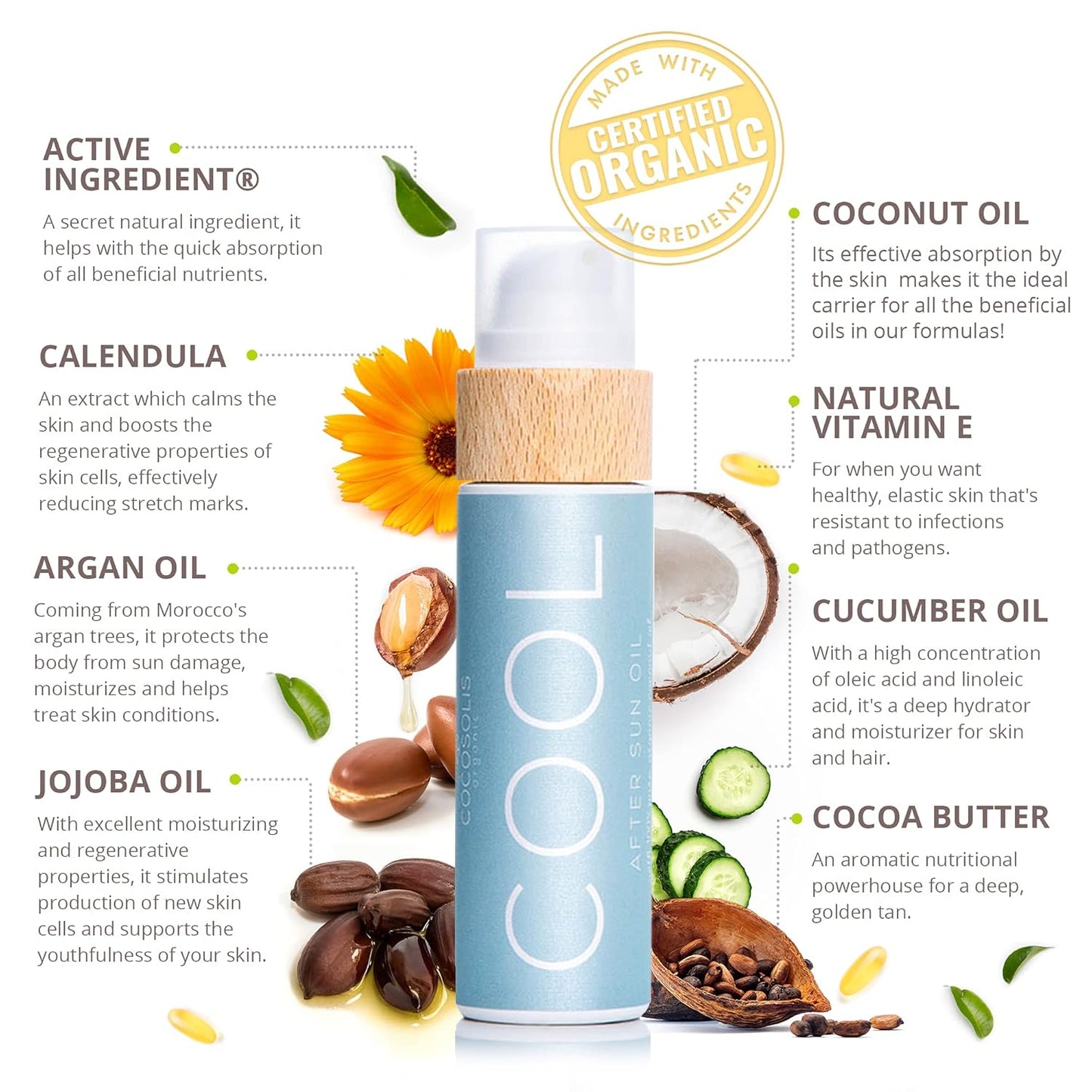 COCOSOLIS COOL After Sun Lotion | Organic After Sun for Tender Hydration & Recovery | Best After Sun Moisturizing Lotion with 9 Raw Organic Oils | After Sun Face & Body Skincare