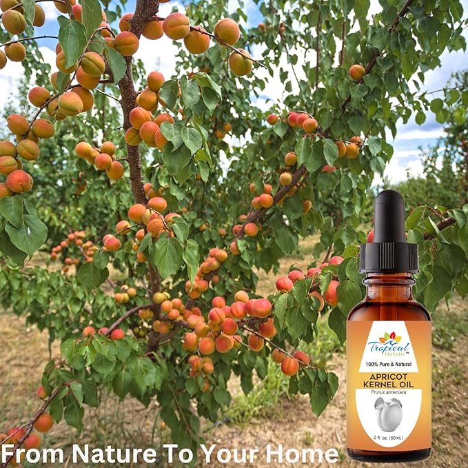 100% Pure Organic Apricot Kernel Oil, 2 oz - Natural Cold-Pressed Apricot Seed Oil from Turkey - Ideal for Massage, Skincare, Hair, Body, Aromatherapy for Men & Women
