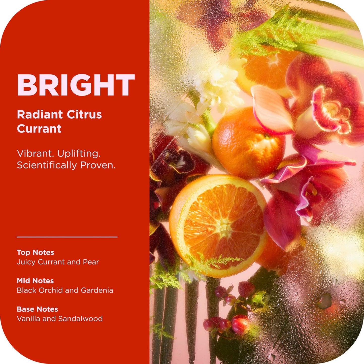 OLLY Bright Body Wash with Ginseng, Caffeine & Vitamin C– Nourishing Cleanser for Skin Barrier Repair, Deep Hydration, Citrus Currant Scent, 17 oz