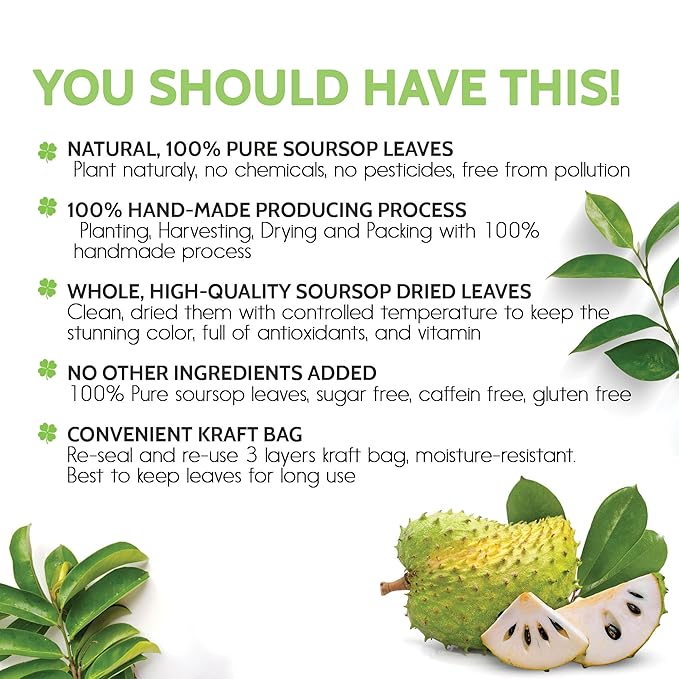 120+ Premium Soursop Graviola Dried Leaves, 120-130 Natural Leaves, Whole Soursop Leaves, Wildcrafted, Graviola, Soursop, Hoja Guanabana, Soursop Loose Leaf Herbal Tea, No Gluten, Vegan