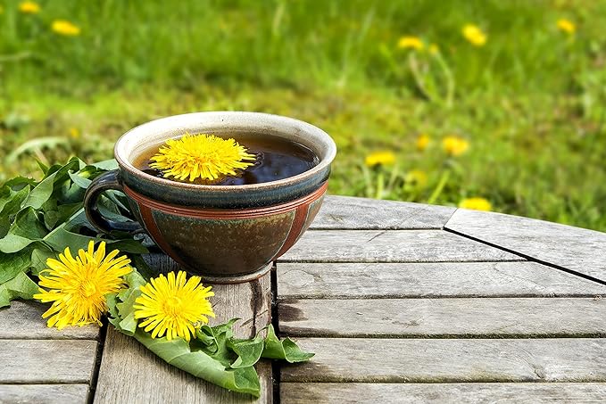 FGO Organic Dandelion Root, Cut and Sifted Loose Tea, 4 Ounce Resealable Bag, Packaging May Vary (Pack of 1)