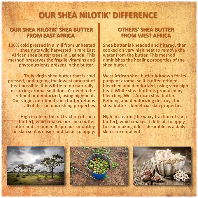 Shea Terra Organics 100% Organic Cold-Pressed Virgin Shea Butter – Namibian Marula | Natural Anti-Aging Daily Skin, Nails & Hair Cream to Soften & Hydrate Dry Skin & Reduce Stretch Mark – 6 oz